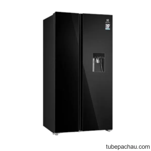 Tủ lạnh Electrolux ESE6645A-BVN