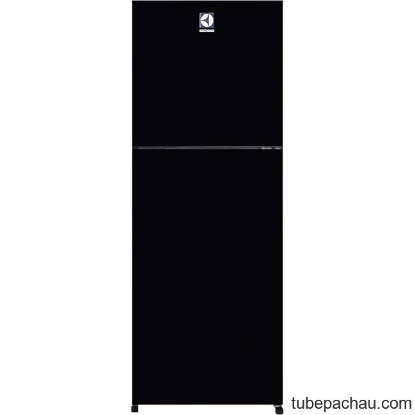 Tủ lạnh Electrolux ETB2102BG