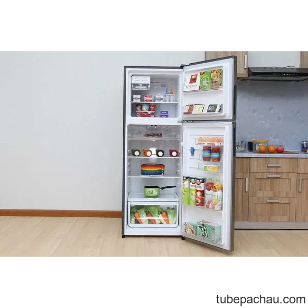 Tủ lạnh Electrolux ETB2102BG