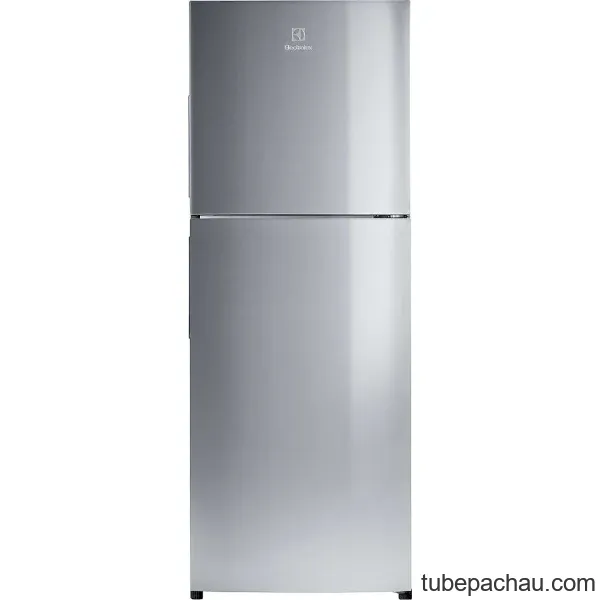 Tủ lạnh Electrolux ETB2502J-A