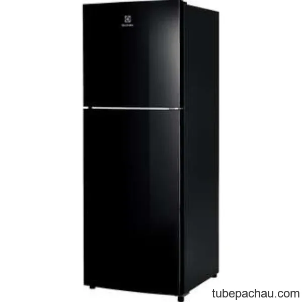 Tủ lạnh Electrolux ETB2502J-H