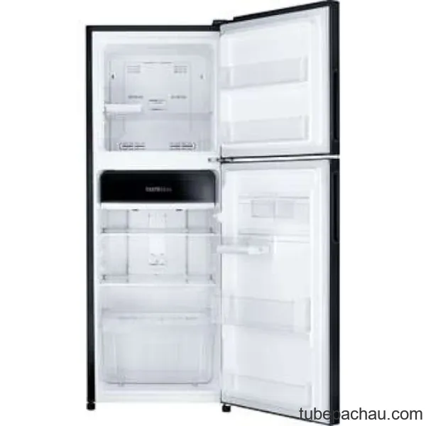 Tủ lạnh Electrolux ETB2502J-H