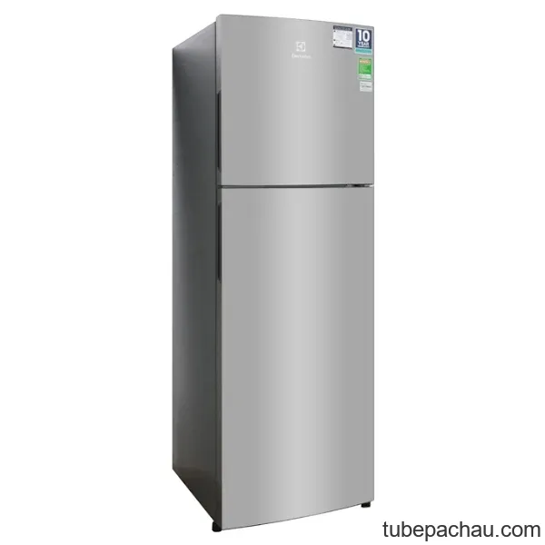 Tủ lạnh Electrolux ETB2802H-A