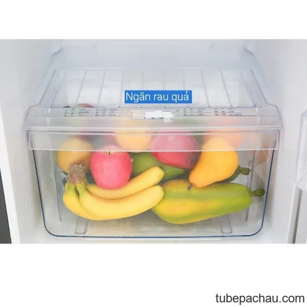 Tủ lạnh Electrolux ETB2802H-A