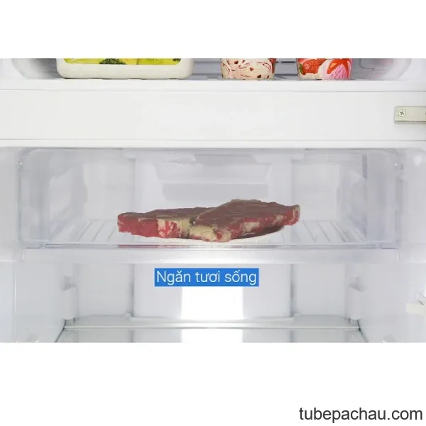Tủ lạnh Electrolux ETB2802H-A