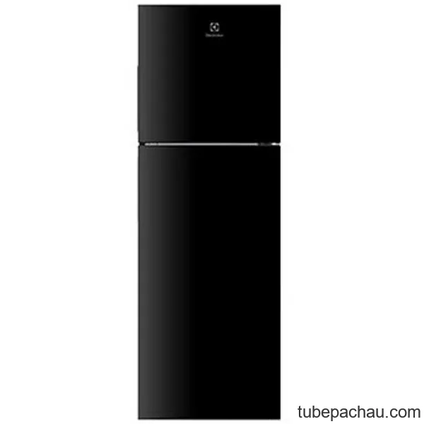 Tủ lạnh Electrolux ETB2802H-H