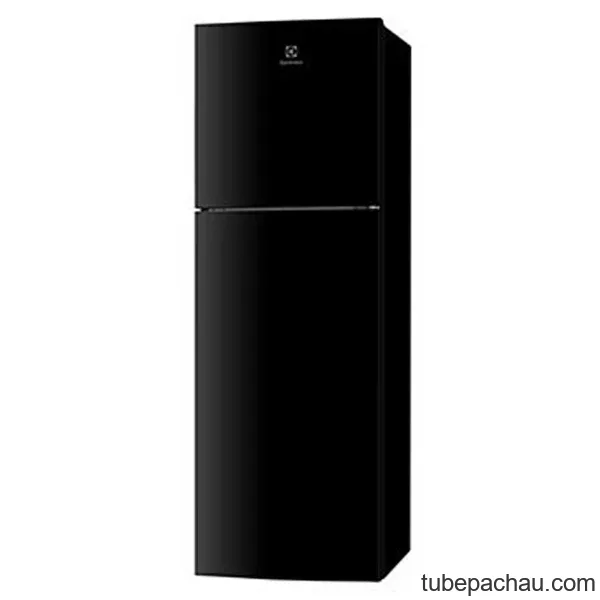 Tủ lạnh Electrolux ETB2802H-H