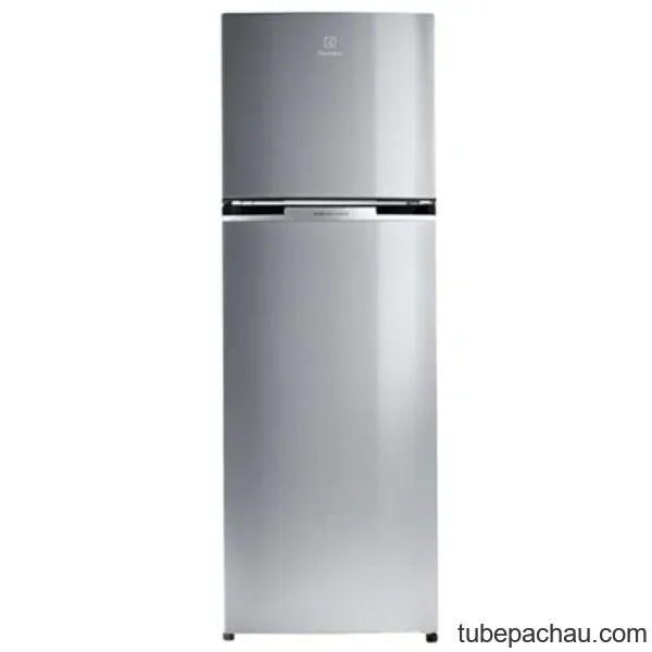 Tủ lạnh Electrolux ETB2802J-A