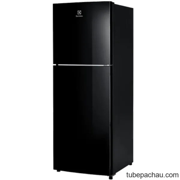 Tủ lạnh Electrolux ETB2802J-H