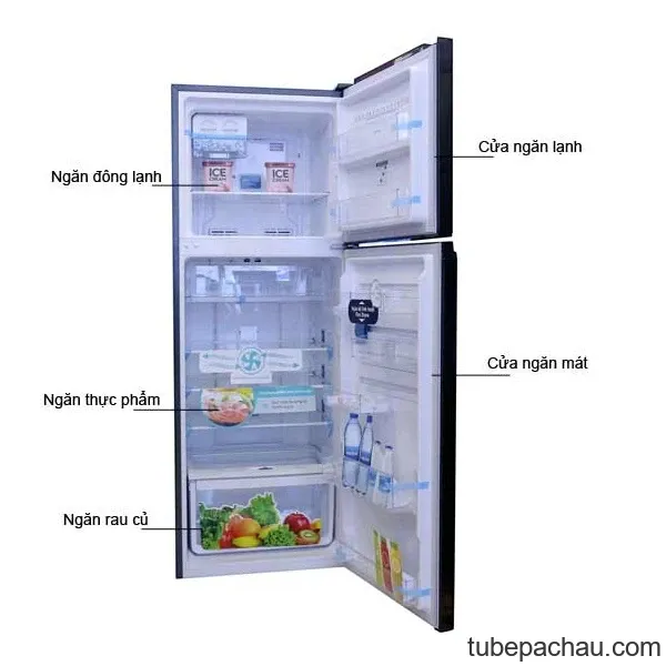 Tủ lạnh Electrolux ETB3200BG