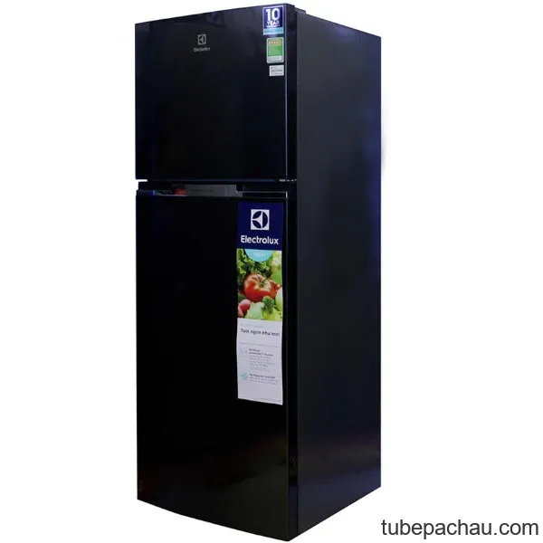 Tủ lạnh Electrolux ETB3200BG