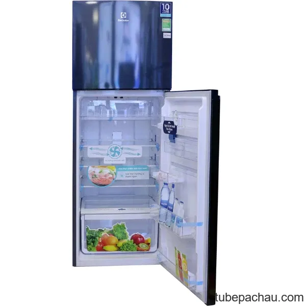 Tủ lạnh Electrolux ETB3200BG