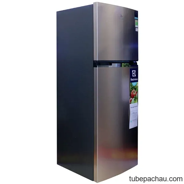 Tủ lạnh Electrolux ETB3200GG