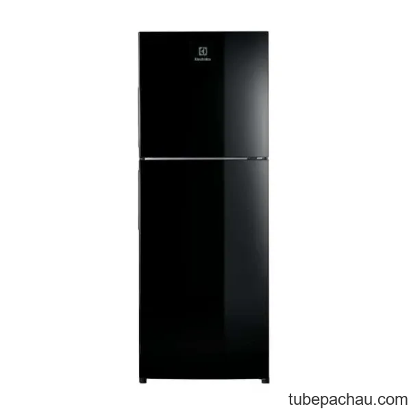 Tủ lạnh Electrolux ETB3700J-H