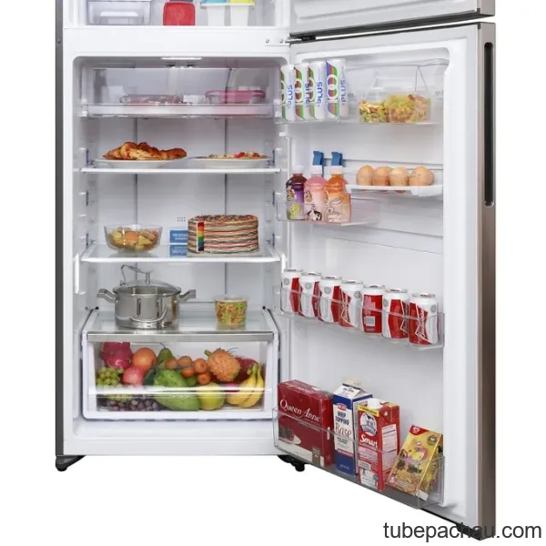 Tủ lạnh Electrolux ETB4602GA