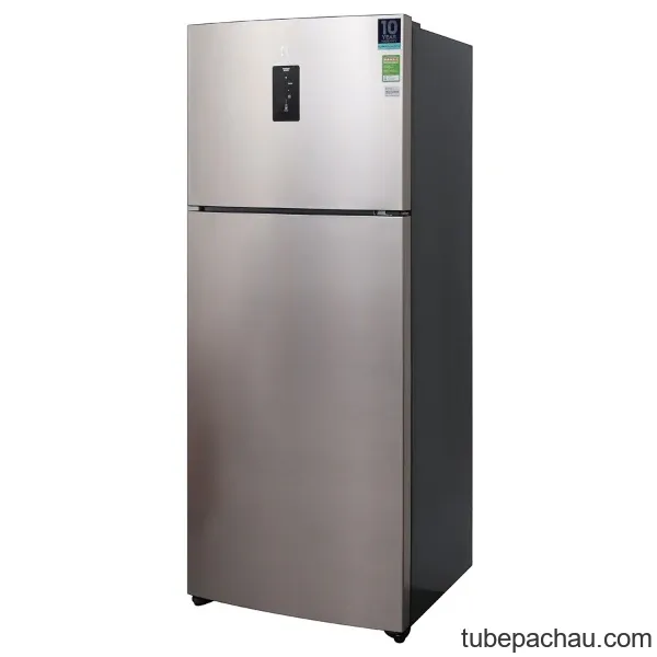 Tủ lạnh Electrolux ETB4602GA