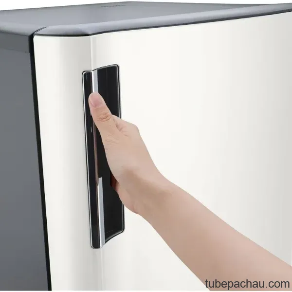 Tủ lạnh LG 195 lít 1 cửa LOB16BGM