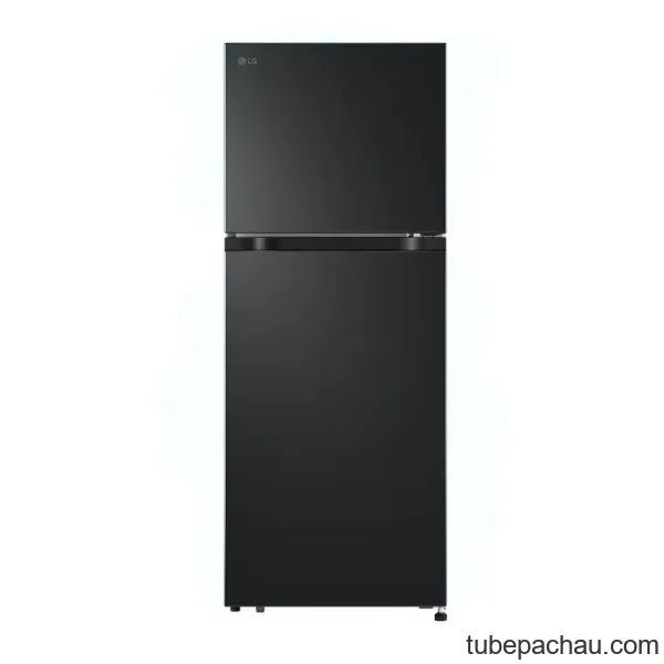 Tủ lạnh LG 217 lít LTB21BLMD