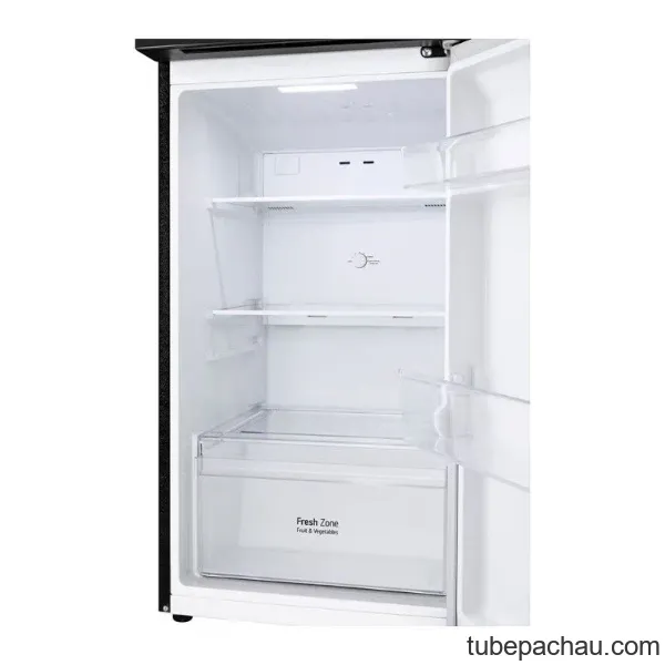 Tủ lạnh LG 217 lít LTB21BLMD