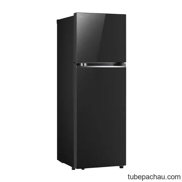 Tủ lạnh LG Inverter 335 lít LTB33BLG