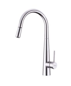Vòi rửa bát Hafele HT21-CH1P245 577.55.220